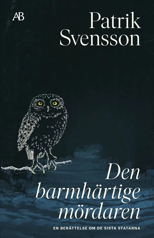 Sänkt pris Den barmhärtige mördaren (storpocket)