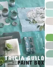 Paint Box : 45 paletter för ett vackrare hem Endast idag