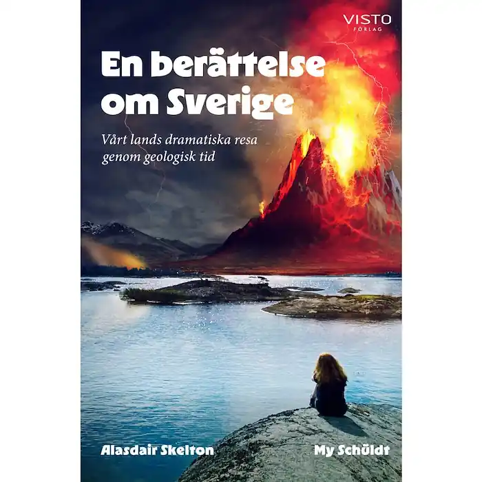 Snabb frakt En berättelse om Sverige (bok, danskt band)