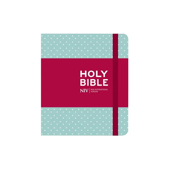Nedsatt pris NIV Journalling Mint Polka Dot Cloth Bible (inbunden, eng)