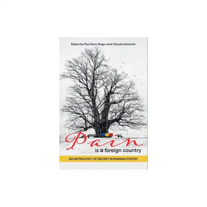 Pain Is a Foreign Country (häftad, eng) Sänkt pris