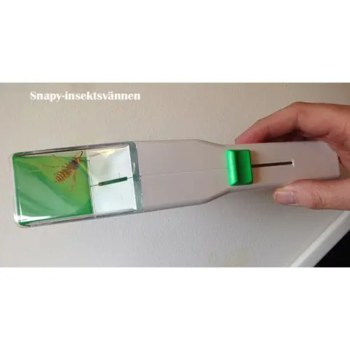 Snapy-insektsvännen Rea