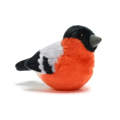 Endast idag Wild RepublicPipfågel domherre