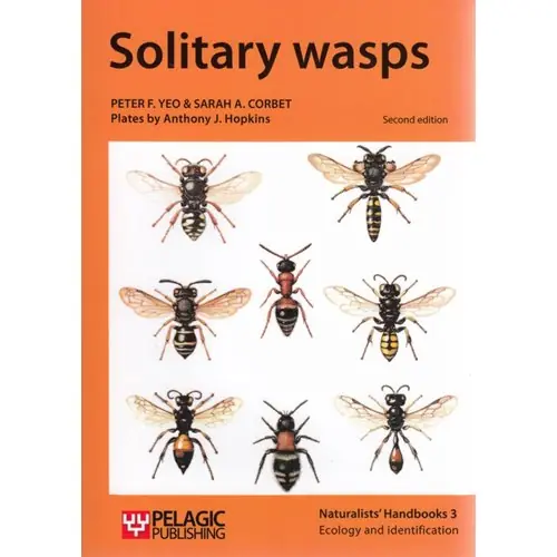 Solitary wasps Kampanjpris