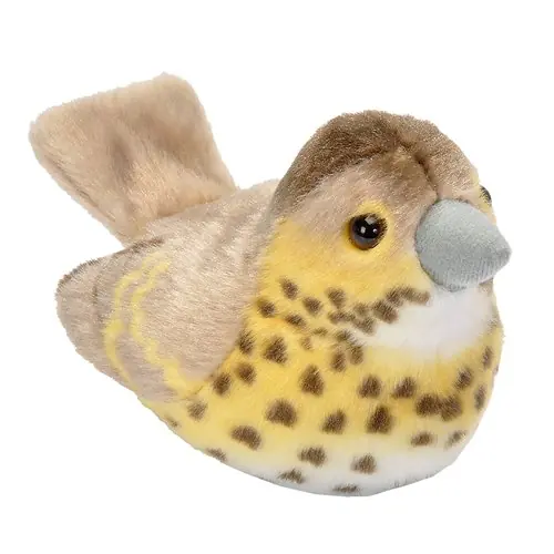 Rabatt Wild RepublicPipfågel taltrast
