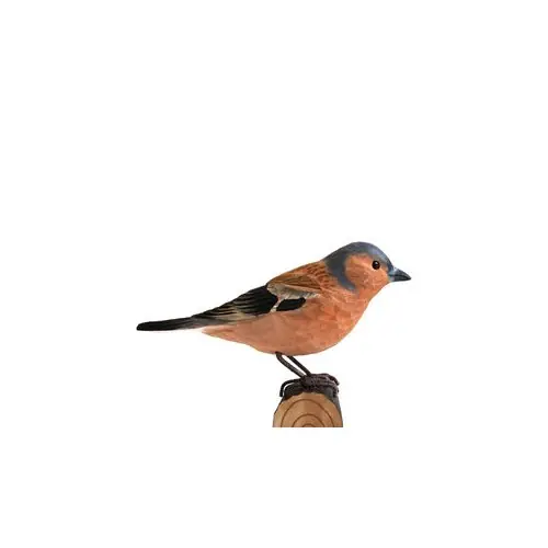 Wildlife GardenBofink snidat trä Populärt val