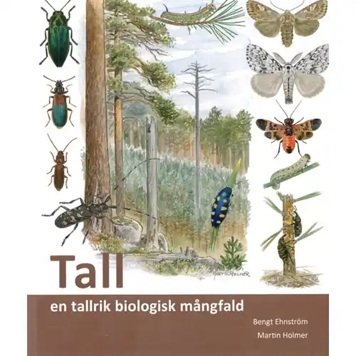 Bästa pris Tall