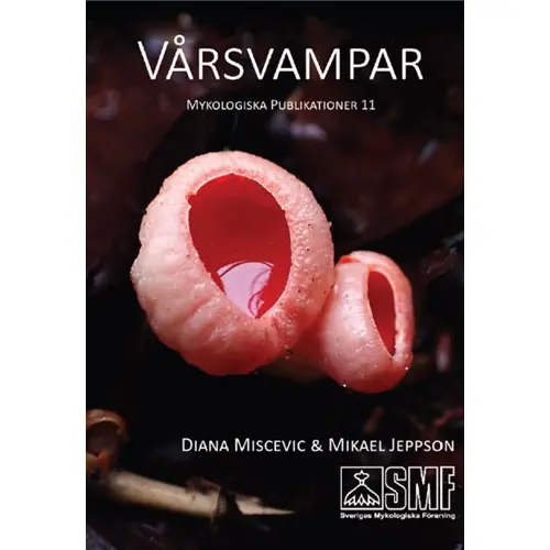 Rea Vårsvampar