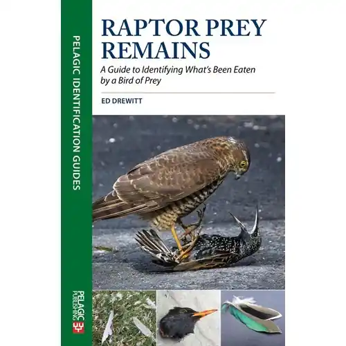 Snabb frakt Raptor Prey Remains