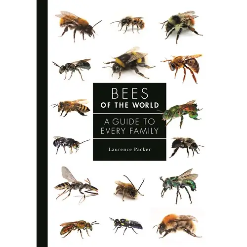 Nyhet Bees of the World