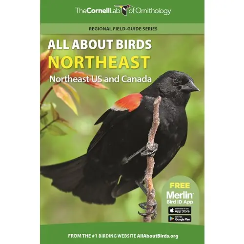 Begränsat antal All About Birds Northeast: Northeast US and Canada