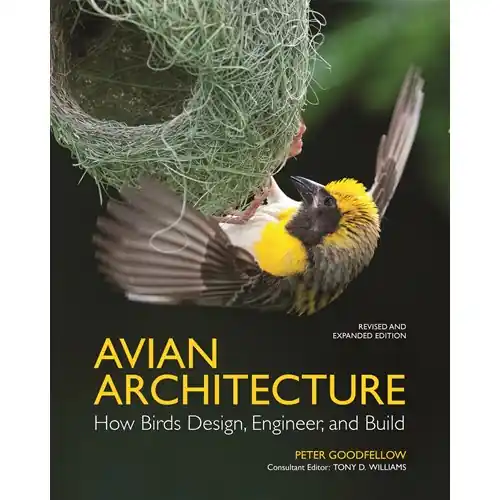Avian Architecture Köp online