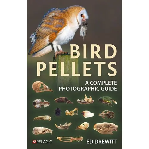 Begränsat erbjudande Bird Pellets A Complete Photographic Guide