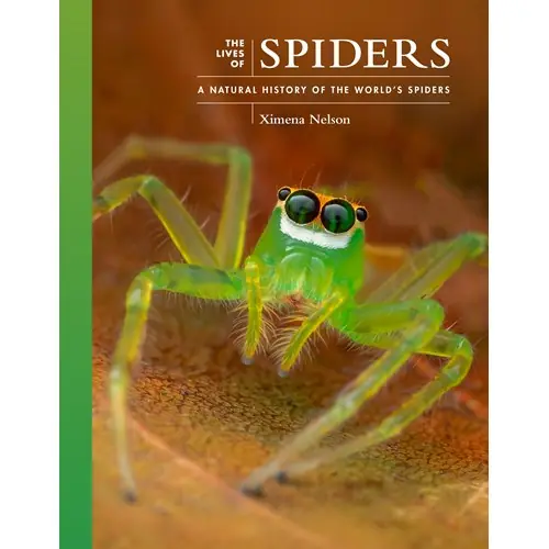 The Lives of Spiders Erbjudande