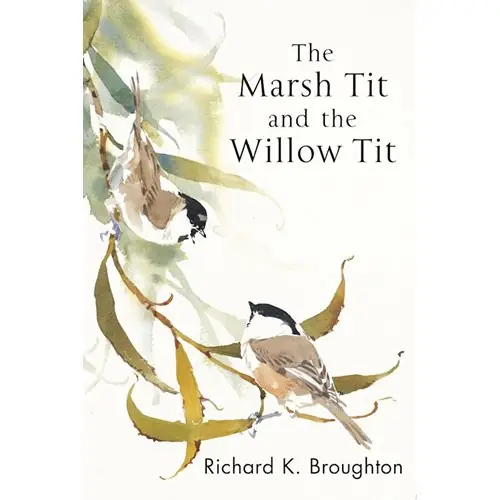 Endast idag Marsh Tit and The Willow Tit