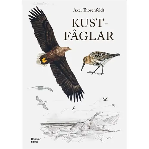 Kustfåglar Säker betalning