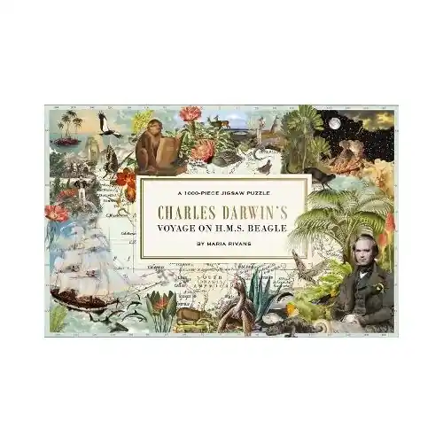 Pussel Charles Darwin's Voyage 1000 bitar Nedsatt pris