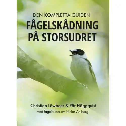 Fågelskådning på Storsudret Kampanj
