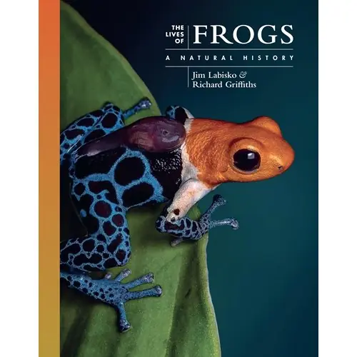 The Lives of Frogs Nedsatt pris